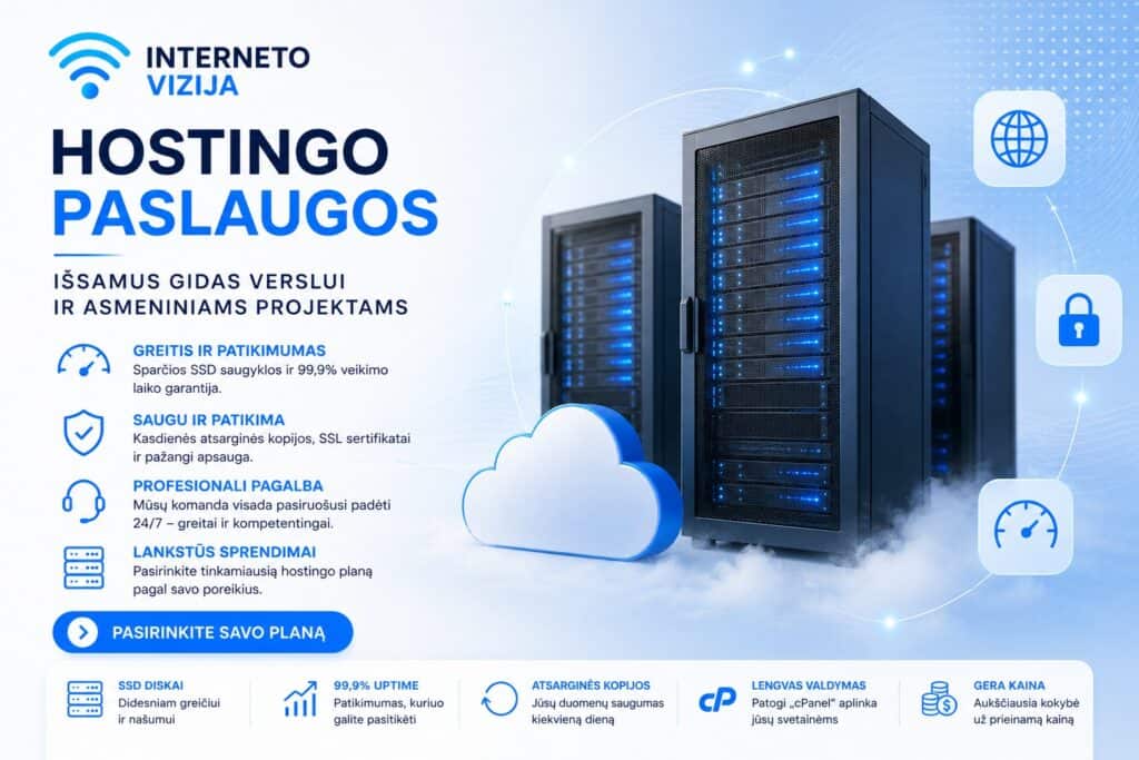 Profesionalios interneto prieglobos paslaugos