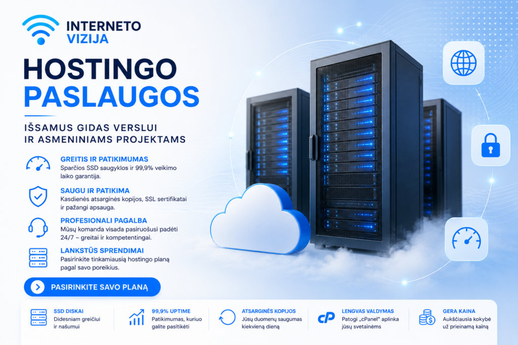 Profesionalios interneto prieglobos paslaugos